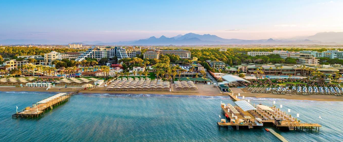 Papillon Ayscha, Anex Luxury Vibes, Walentynki