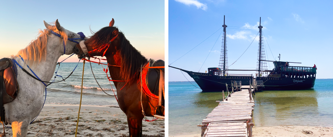 Konie na plaży przy Hotelu Ulysse Djerba Thalasso, statek piracki Odyseye wyspa Flamingów Djerba