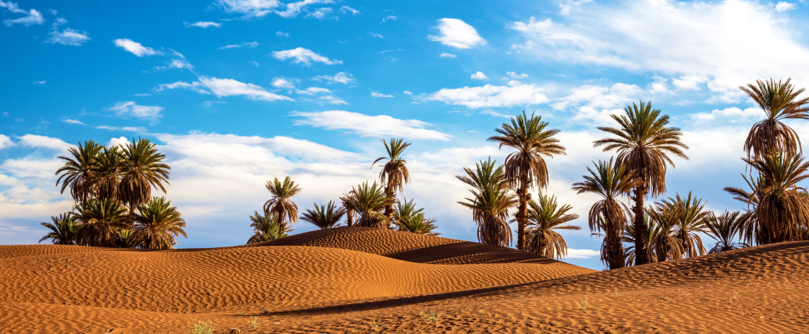 Sahara, palmy i piasek, Tunezja z Anex Tour 