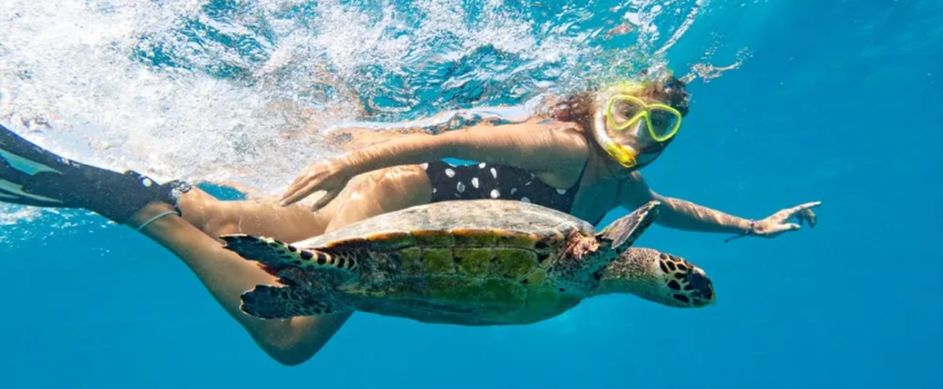 Nurkowanie w Egipcie, wycieczki z Anex Tour